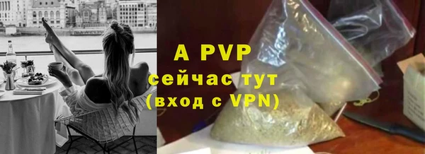 прущие крисы Покачи